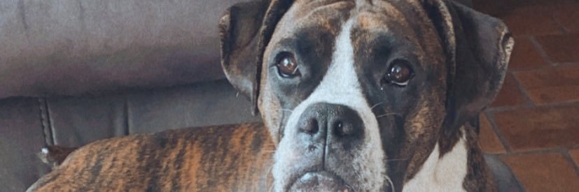 Averyj43's profile banner image
