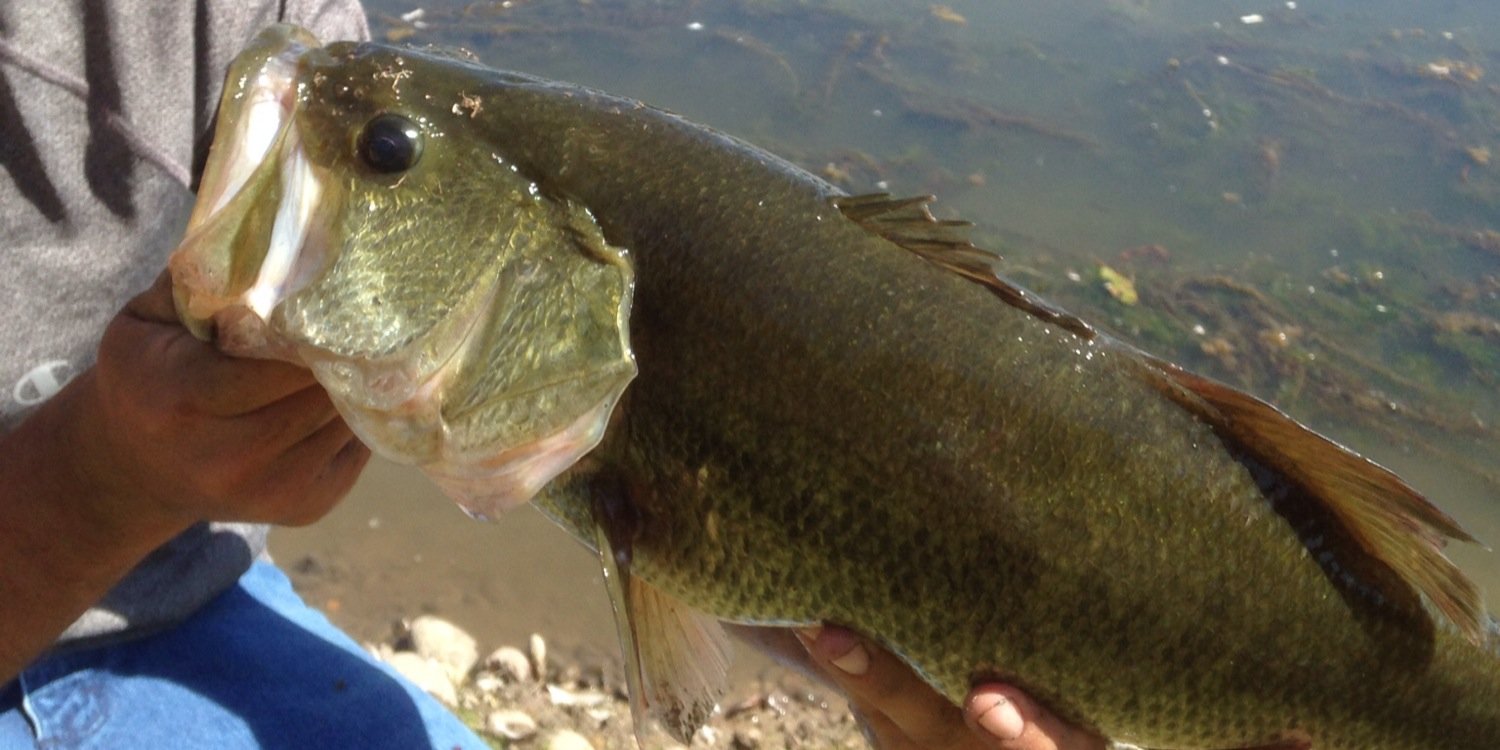OregonBass's profile banner image
