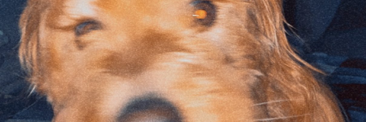 Mckenzie Aikman banner