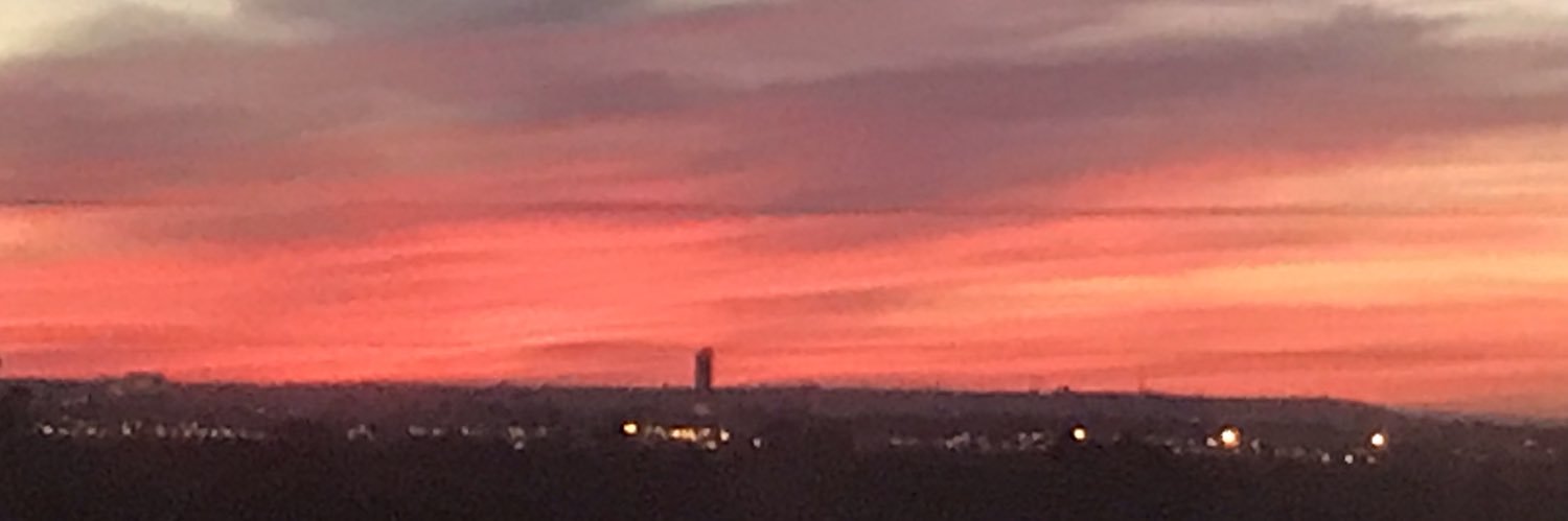 Ana María Porcel banner