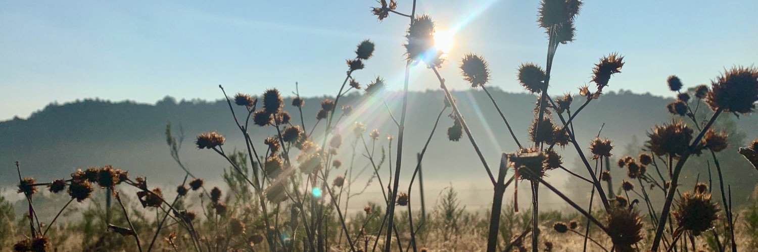 gerardroide's profile banner image