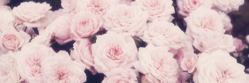 PrincessKyara17's profile banner image