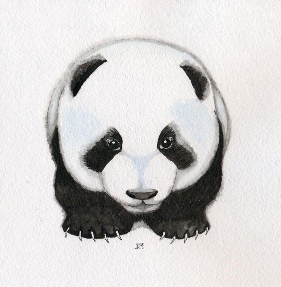 HashPandas banner