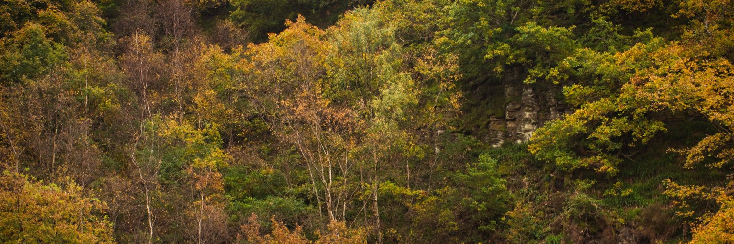 JRAtkinsonphoto's profile banner image
