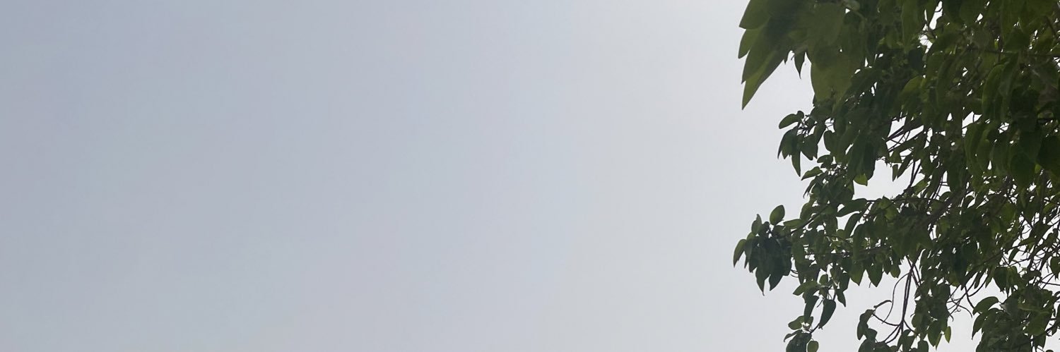 Saaf_l's profile banner image