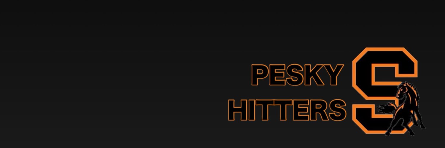 Black Horses Baseball banner