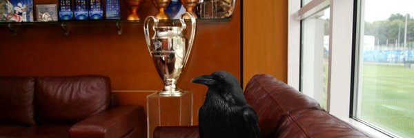 OM_corbeau Profile Banner