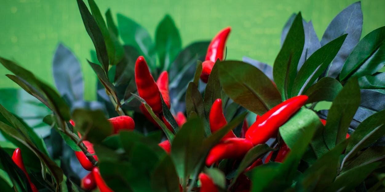 barsweetpepper's profile banner image