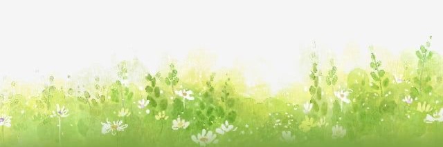 Yanethvez's profile banner image