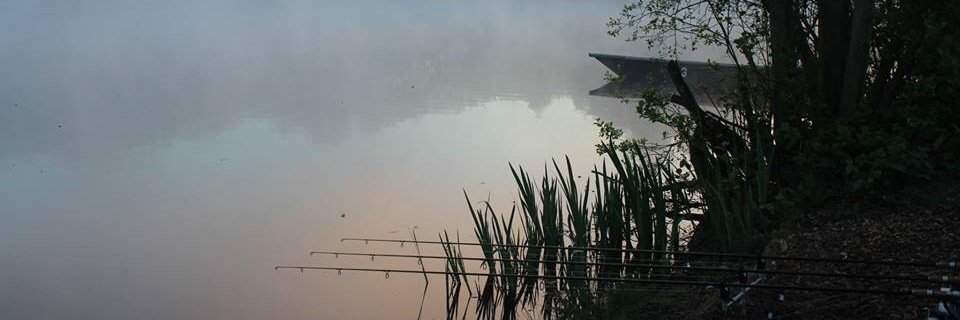 Matthew Wright banner