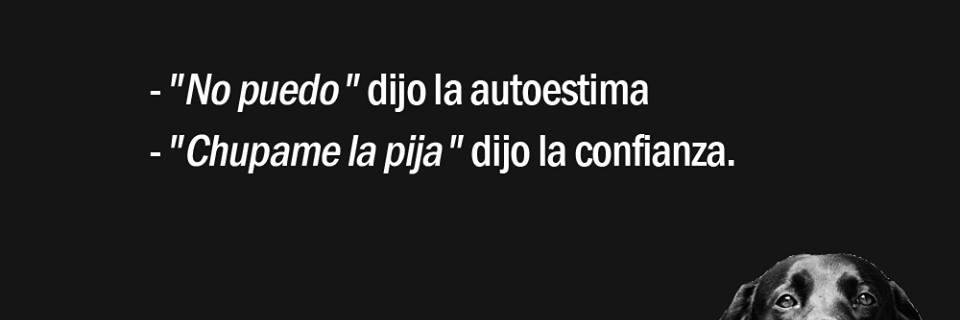 Tonito banner