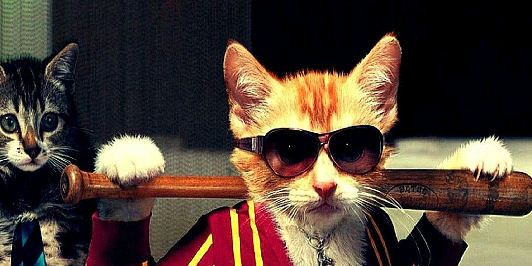 AzAnaszeb's profile banner image