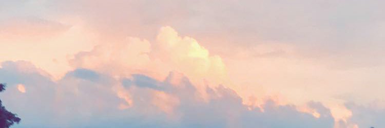 arabellecat's profile banner image