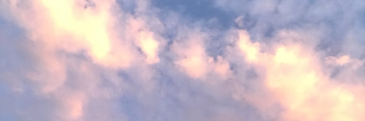 leapfearlessly's profile banner image