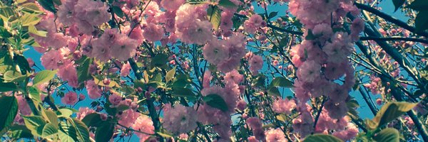 Redsoulstice Profile Banner