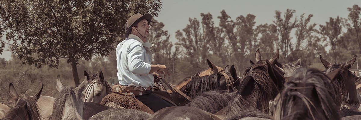 Eugeoptimista's profile banner image