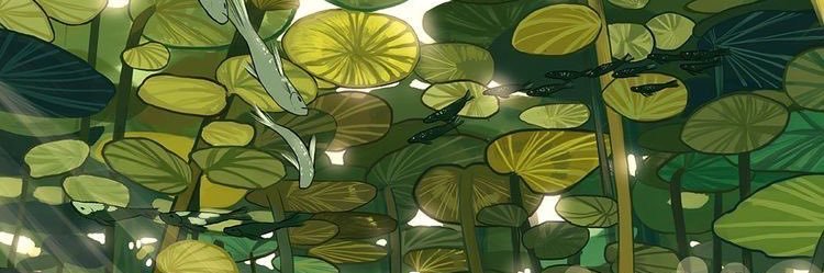 Zerreeh's profile banner image