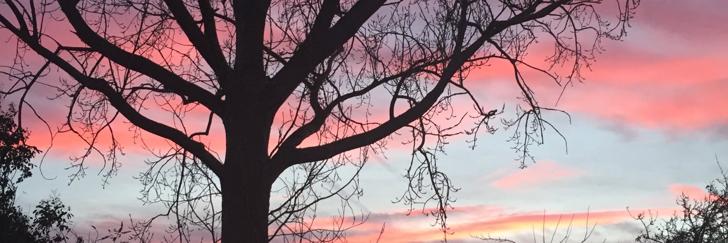 Carolyn Londer-Ward 🇬🇧🇺🇦🇪🇺 banner