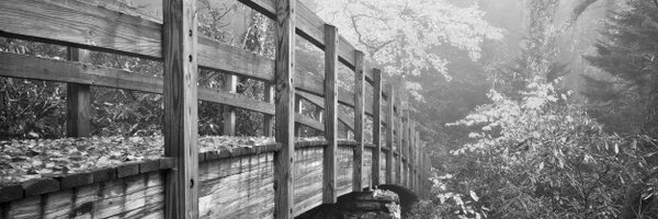 HealthyHopes Profile Banner