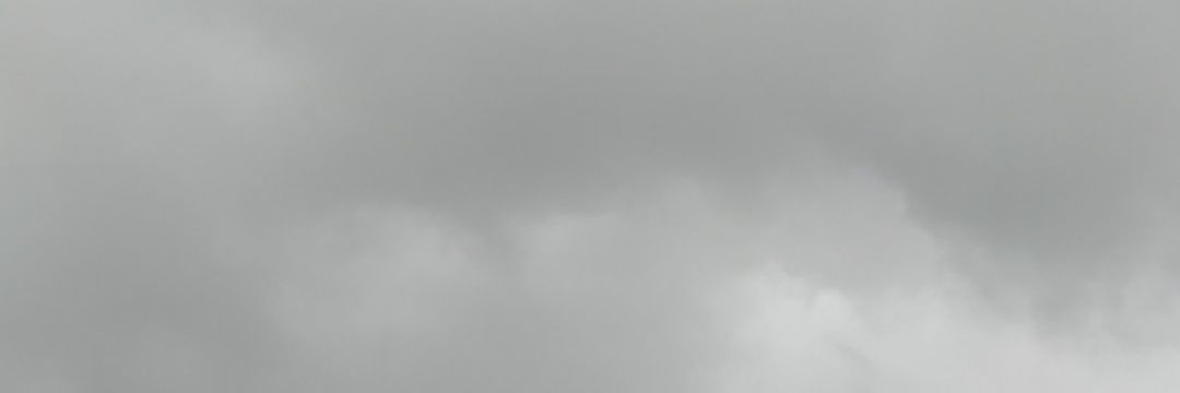 Luc_pus's profile banner image