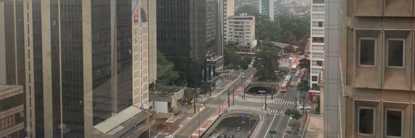 Patricia Vanzolini banner