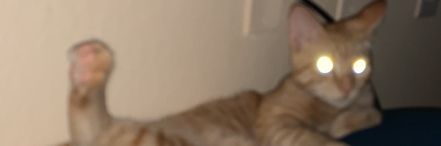 NotAPro_'s profile banner image