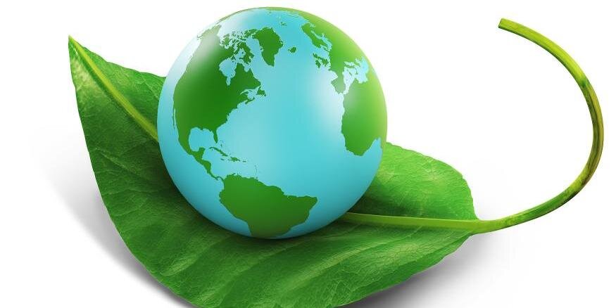 Plant4theFuture's profile banner image