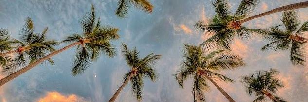 Alexa_Zee's profile banner image