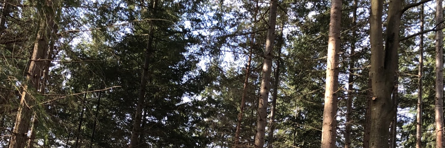 chloeprd's profile banner image