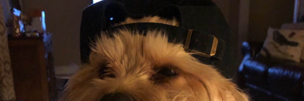 Syd__Law's profile banner image