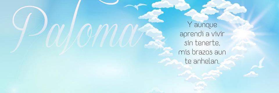 Rafael Soto Gil banner