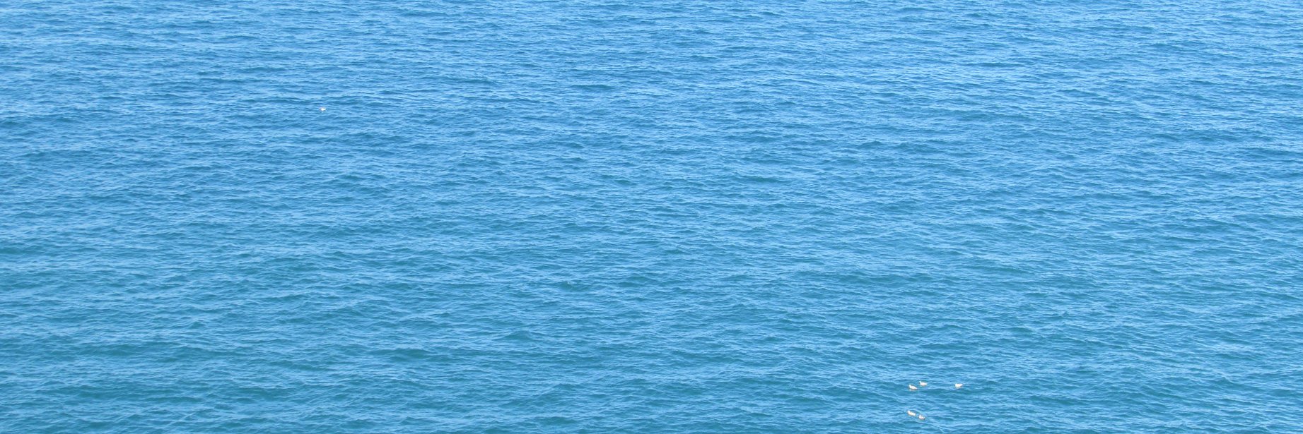 Business Action banner