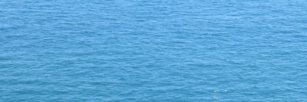 BusinessActionM Profile Banner