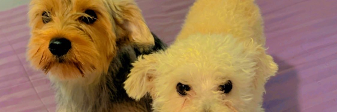 ErickCorreea's profile banner image