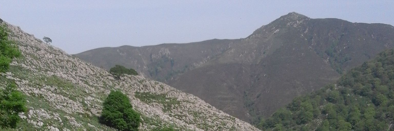 NandoVazquezM's profile banner image
