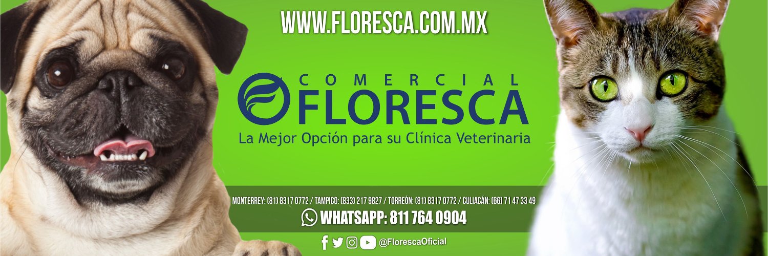 FlorescaOficial's profile banner image