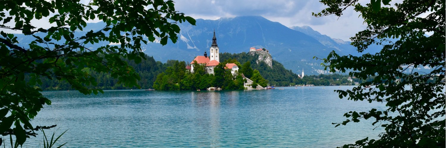 casey ranson (she/her) banner