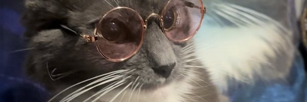 AlanaJordan Profile Banner