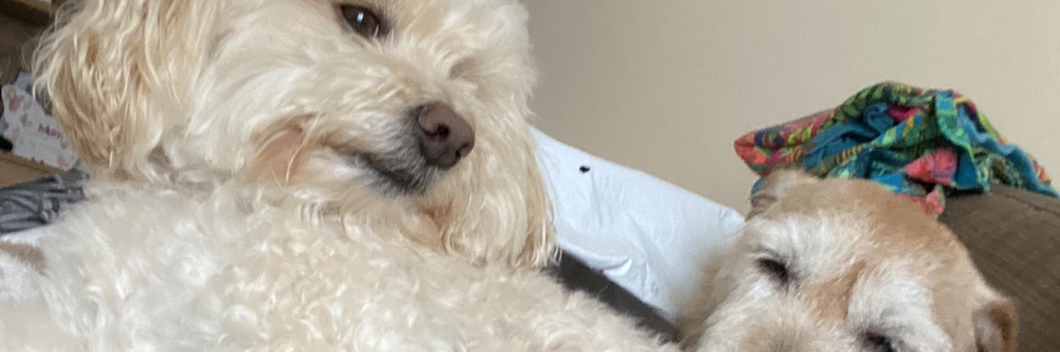 emilyem17's profile banner image
