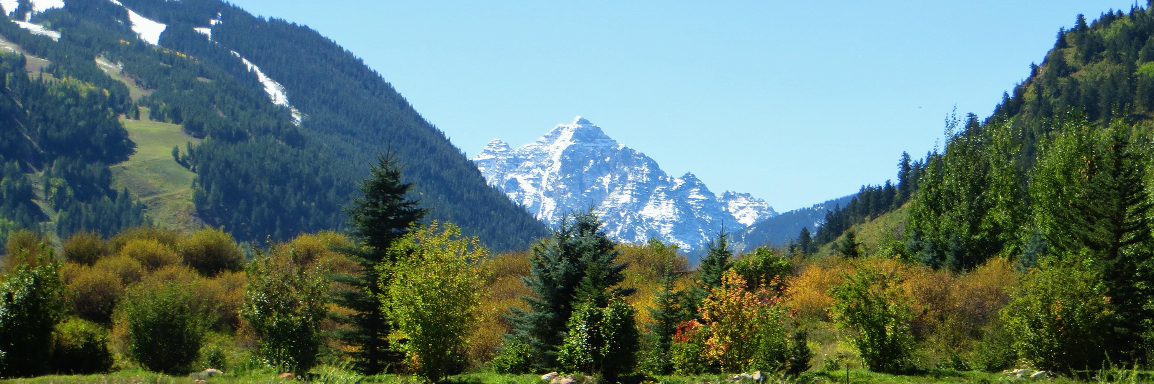 MountainGaia's profile banner image