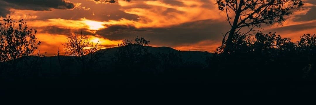 ile074's profile banner image