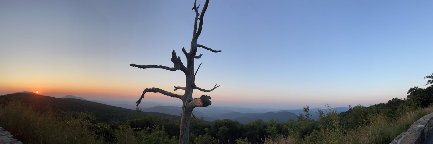 Ginger Gibson banner