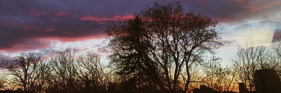 jessbertram2's profile banner image