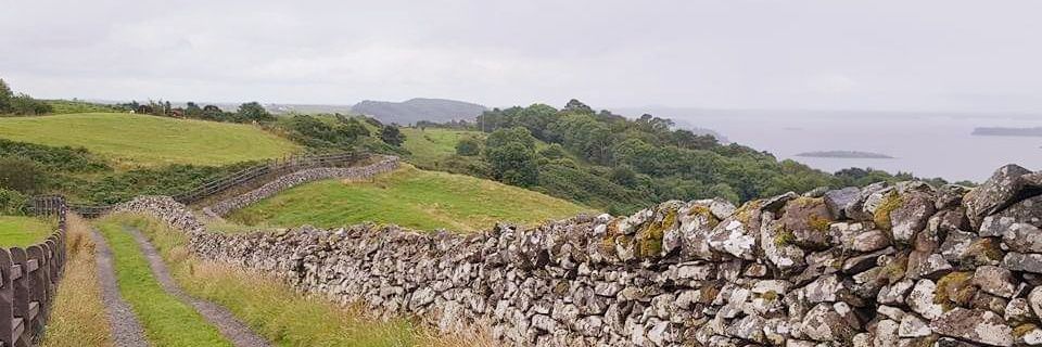 Trish Keane banner