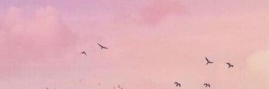 edominguez413's profile banner image