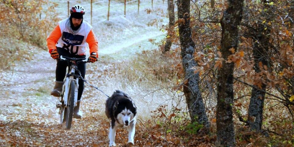 Amordemushing's profile banner image