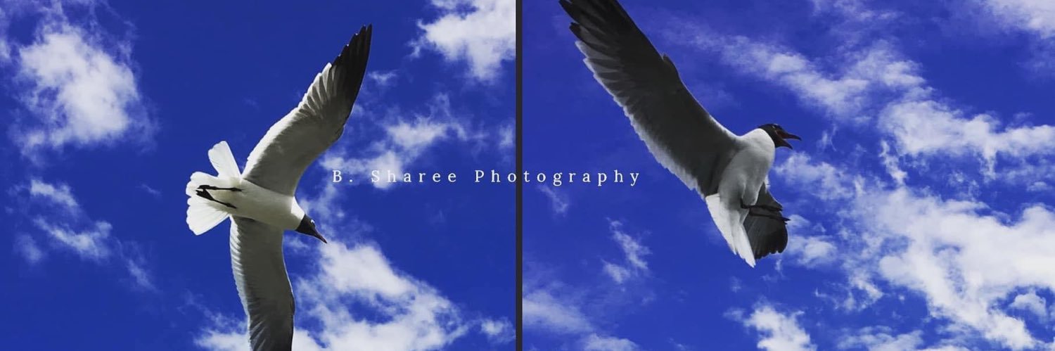 The_BSharee's profile banner image