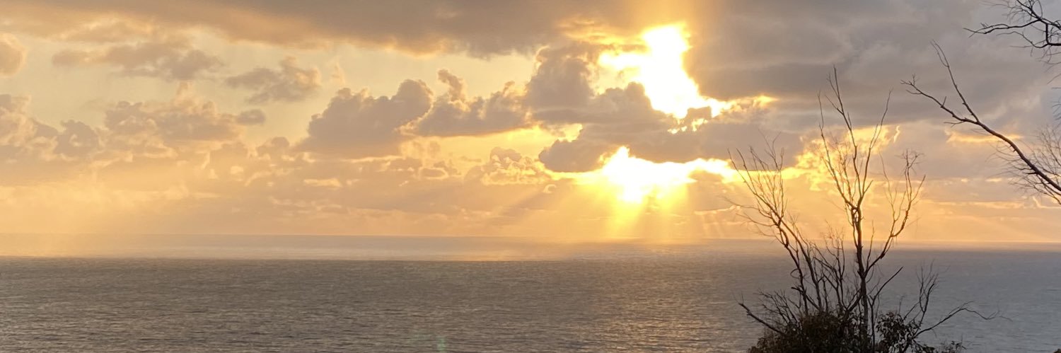 britt_canz's profile banner image