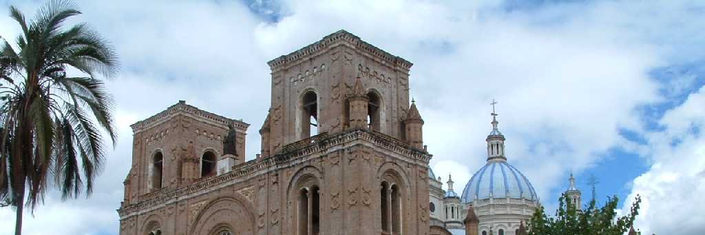 Fernando Tenesaca banner