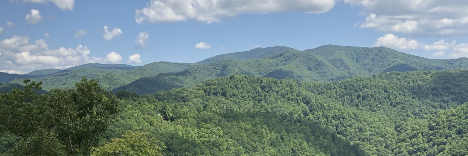 Amanda Priestley banner